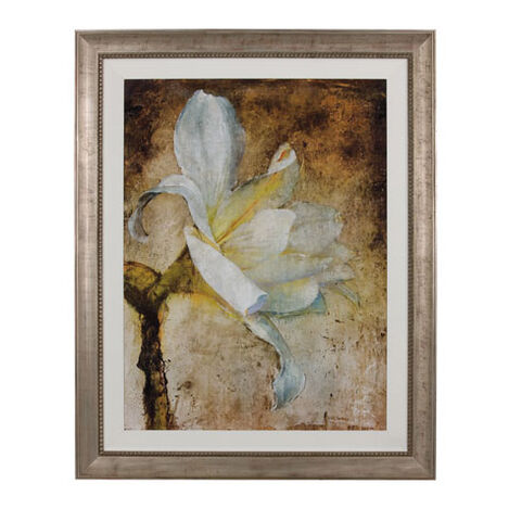 Framed Botanical Prints | Framed Botanicals & Floral Art | Ethan Allen