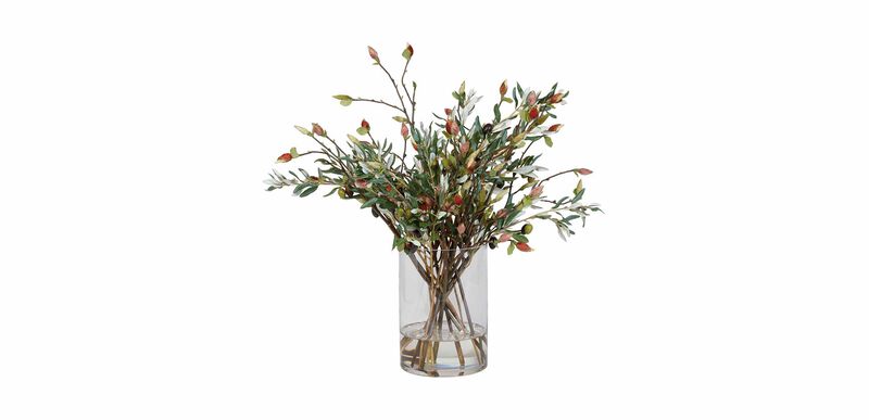 Fresh/dry Olive Branches Olive Branch Olive Branch Decor -  Canada
