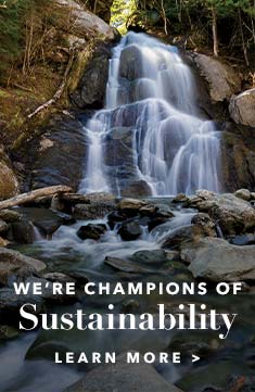 we're champions of sustainability