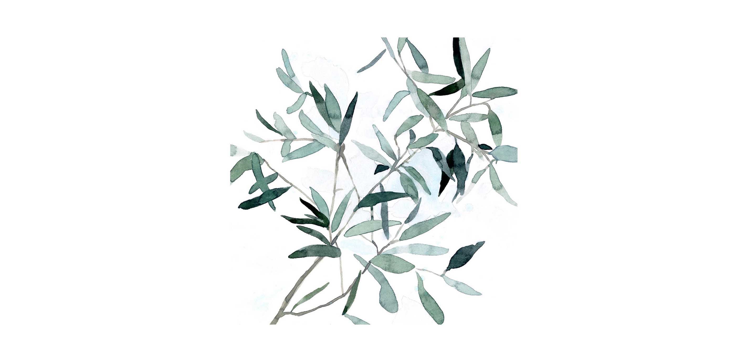 - Serene Eucalyptus Embrace